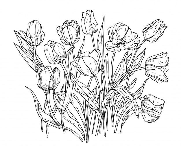 Flowers hand drawing and sketch black and white