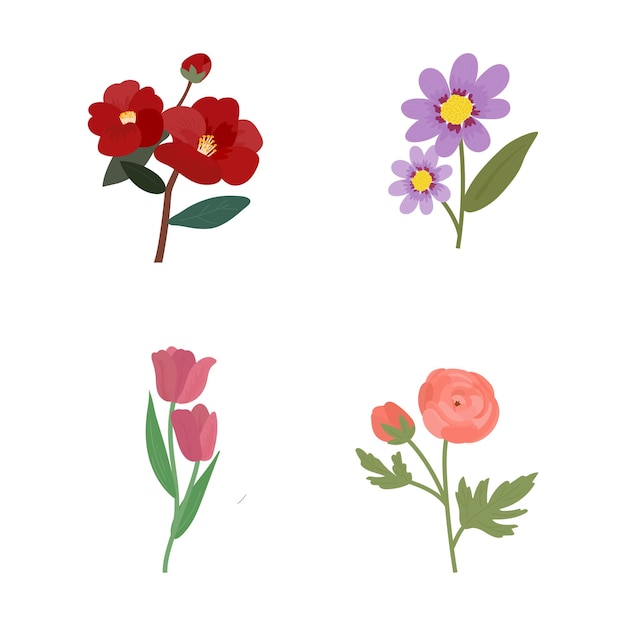 Flowers illustrations set on transparent background