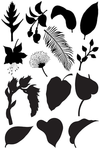 Flowers and leaves Plant elements isolated on the white background