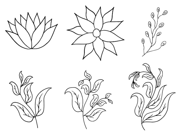 Flowers line art arrangement