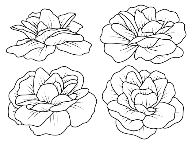 Flowers Line Art Arrangements