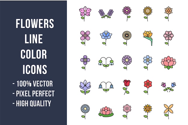 Flowers Line Color Icons