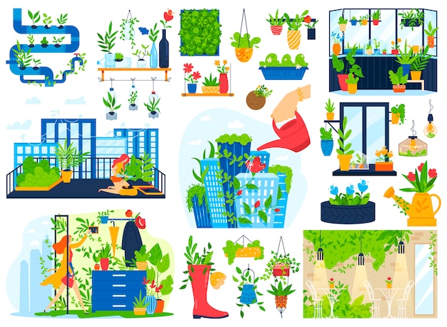 Flowers plants grow in house balcony garden vector illustration set