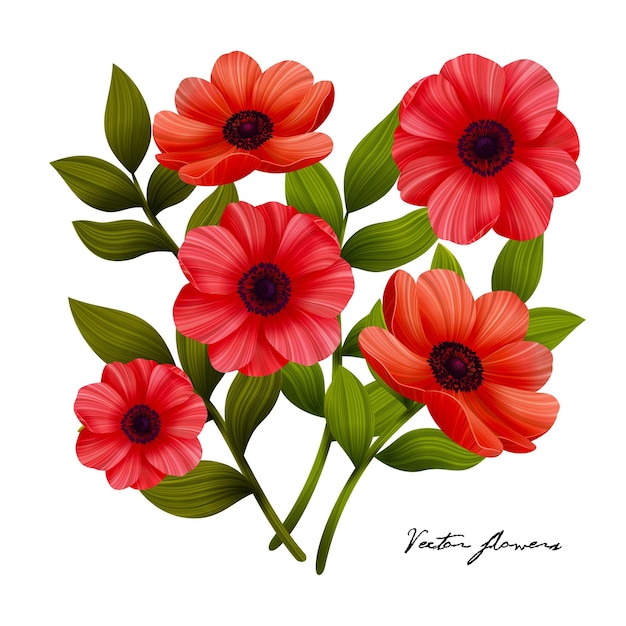 Flowers Red poppies bouquet illustration