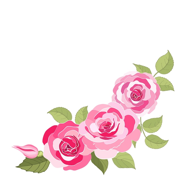 Flowers set The rose elegant card Vector illustration