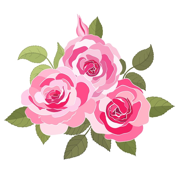 Flowers set The rose elegant card Vector illustration