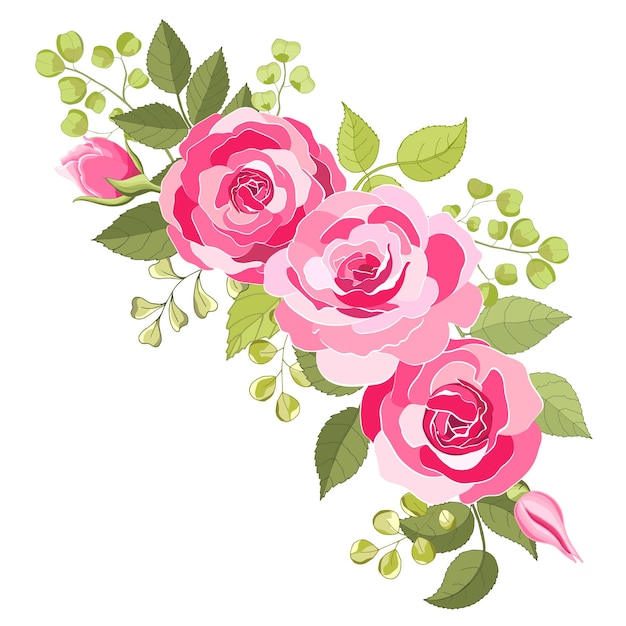 Flowers set The rose elegant card Vector illustration