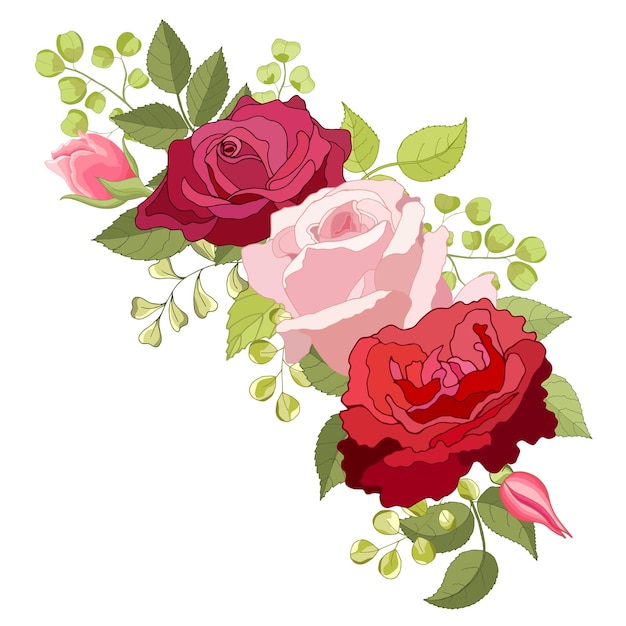 Flowers set The rose elegant card Vector illustration