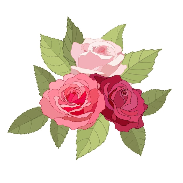 Flowers set The rose elegant card Vector illustration