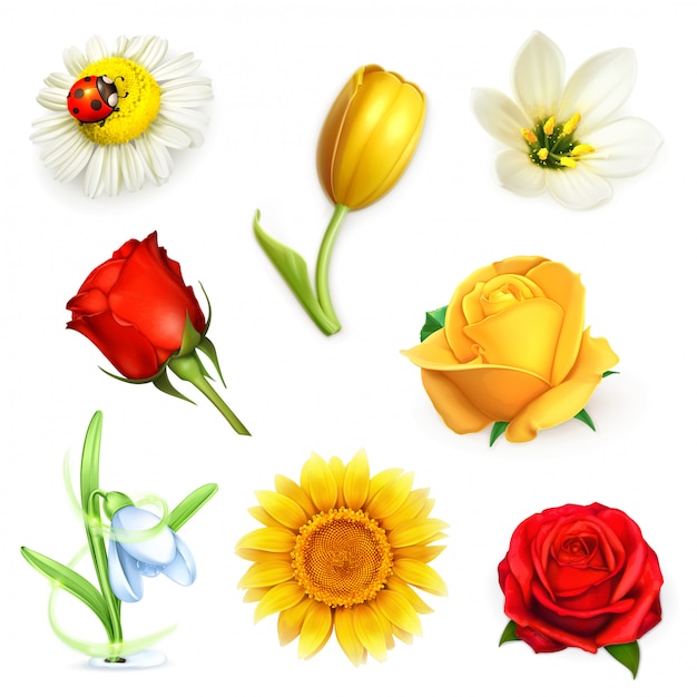 Flowers, set vector