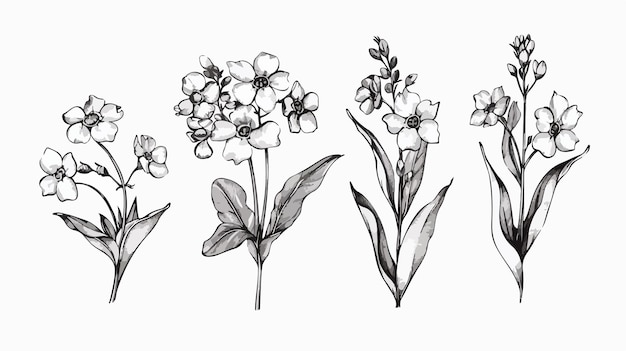 flowers that are drawn by hand