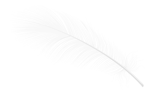 Fluffy feather White realstic angel wing mockup