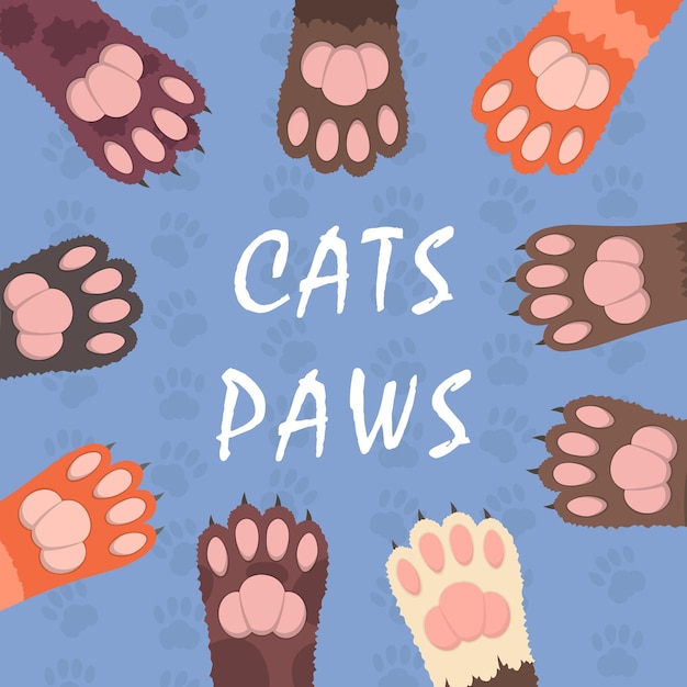 Fluffy multicolored cats paws illustration