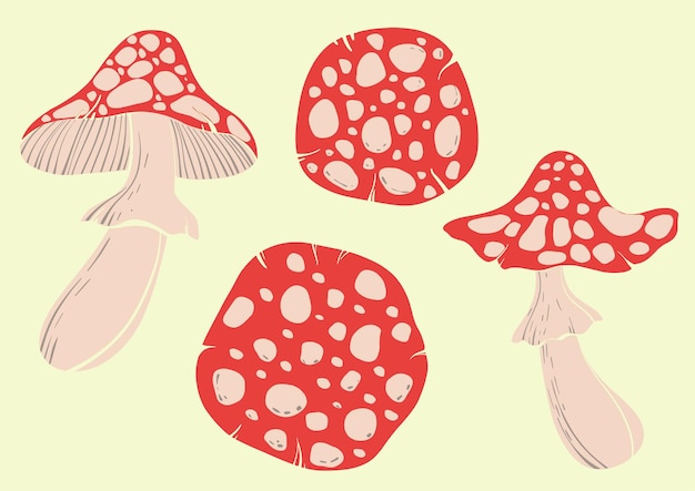 Fly agaric mushroom set Flat colorful illustration of poisonous red mushrooms on a light background