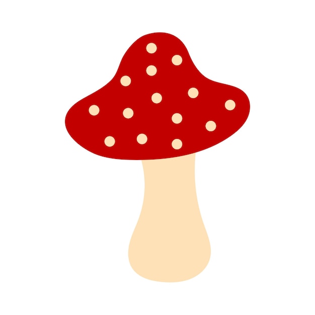 Fly agaric mushroom