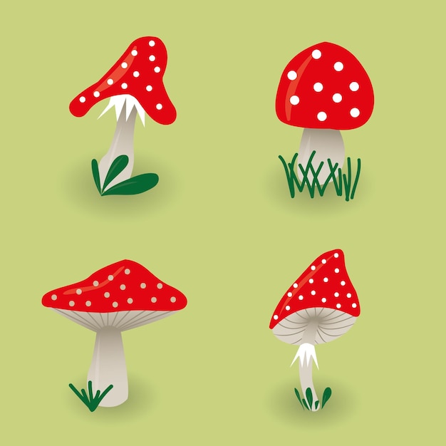 fly agaric mushrooms