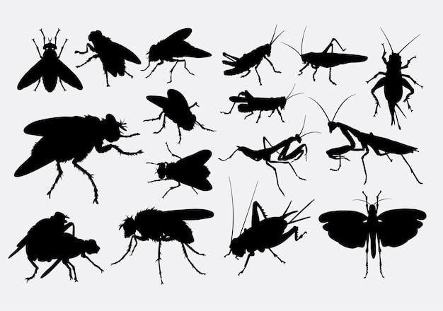 fly cricket and grasshopper silhouette