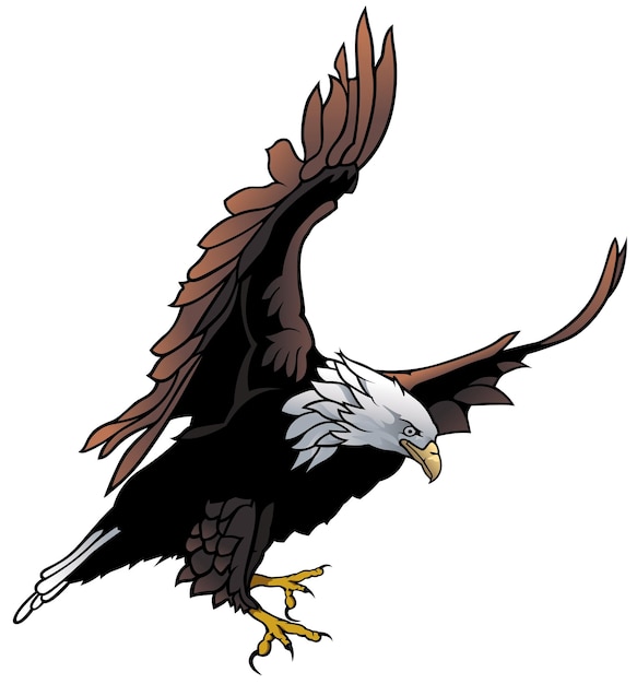 Flying Bald Eagle Illustration Isolated on White Background