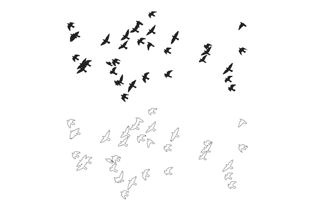 Flying bird set silhouette premium vector