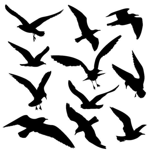 Flying birds black silhouettes vector set