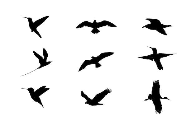 Flying Birds and pigeons black silhouette set