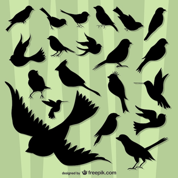 Vector flying birds silhouette pack 