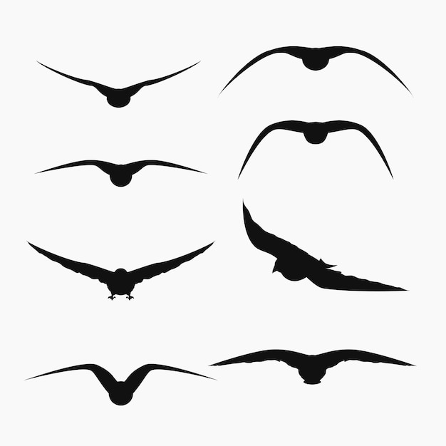 Flying birds silhouettes in set on white