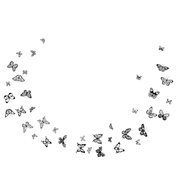 Vector flying butterflies silhouette isolated vector