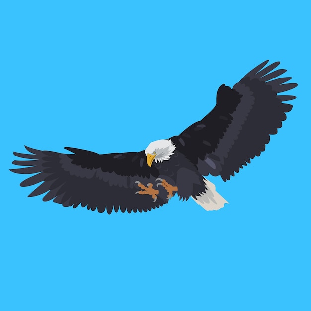 Flying eagle  vector illustration