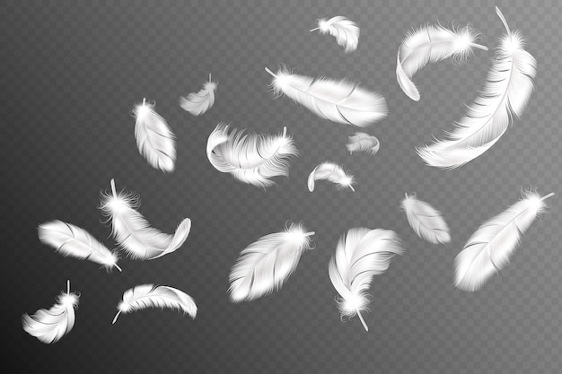 Flying feathers. Falling twirled fluffy realistic white swan, dove or angel wings feather flow, soft birds plumage  collection