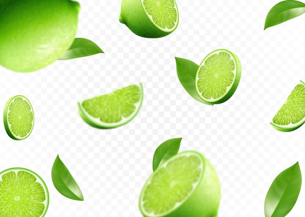 Flying fresh limes and lime slices with leaves with blur effect Vector 3d realistic illustration isolated on white background