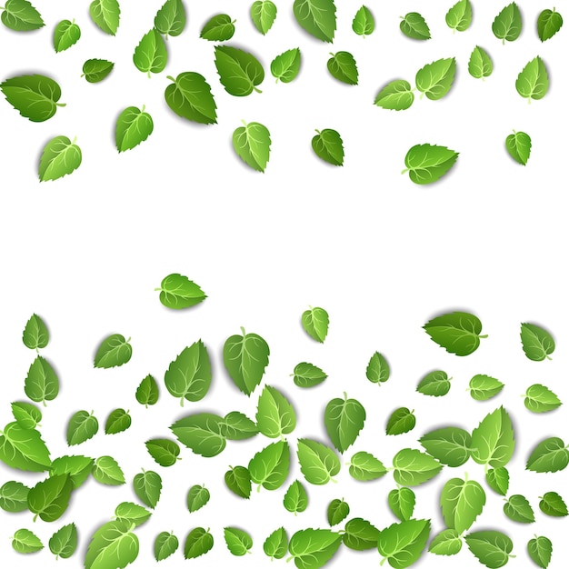 Flying green leaves on white background Spring leaf pattern on isolated backdrop leaves plant Vector