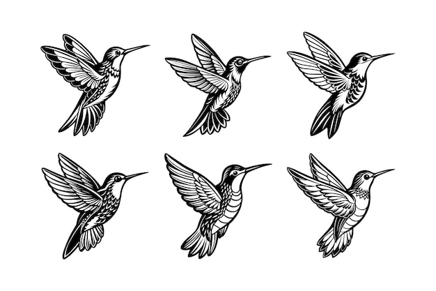 Flying hummingbird linocut vector style illustration