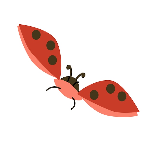 Vector flying ledybug cute view above in a flat style