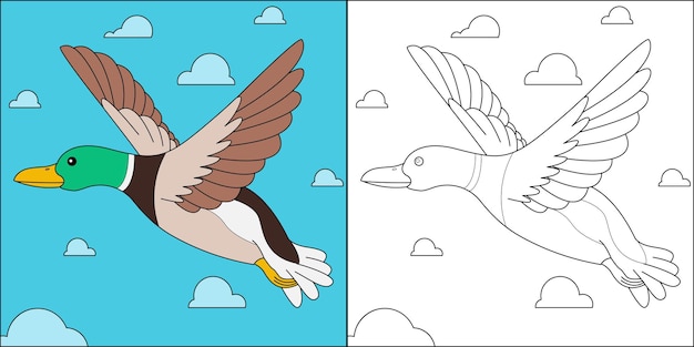 Flying mallard duck suitable for children's coloring page vector illustration