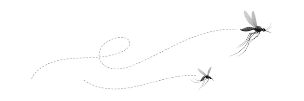 Vector flying mosquitoes and their flight paths