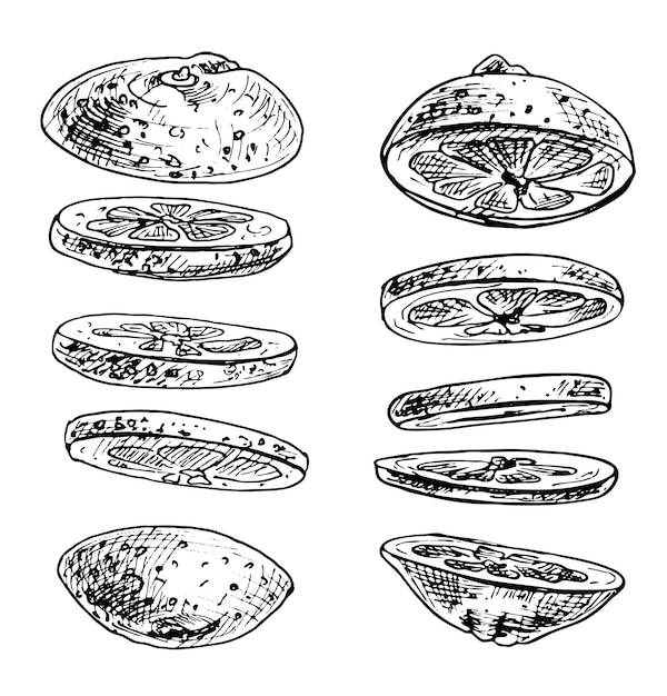 Flying pieces of fresh lemon. Vector vintage hatching black illustration.