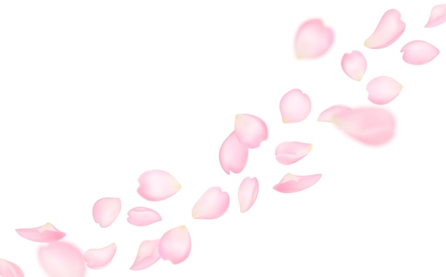 Vector flying sakura petals background of cherry blossom