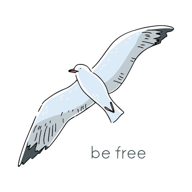 Vector flying seagull with the inscription be free graphic print vector hand drawn illustration