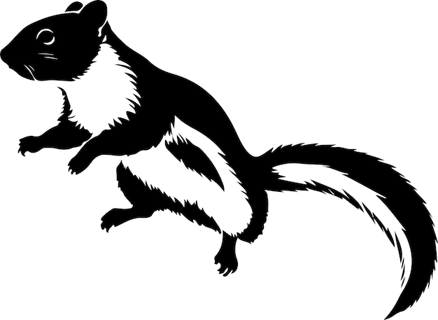 Flying squirrel vector silhouette isolated white background 12