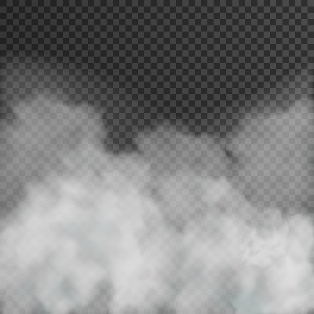 Fog or smoke isolated on transparent background Vector illustration