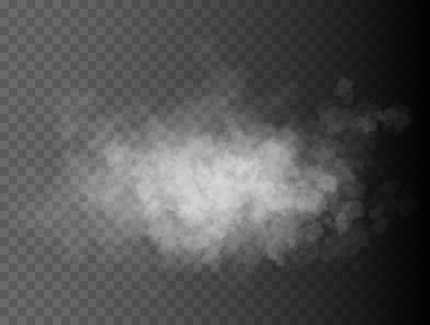 Fog or smoke isolated transparent special effect white vector cloudiness mist or smog background vec...