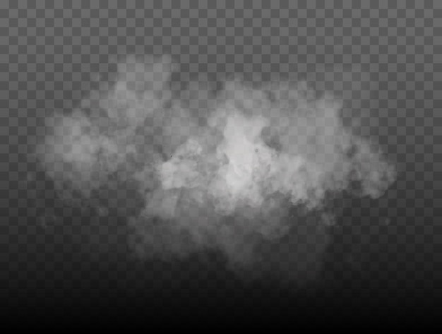 Fog or smoke isolated transparent special effect white vector cloudiness mist or smog background vec...