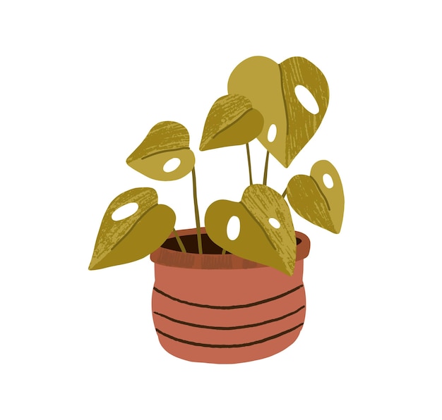 Foliage houseplant in clay pot. Trendy house plant with big heart-shaped leaves growing in planter. Modern botanical home decoration. Flat vector illustration isolated on white background.