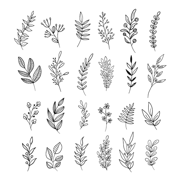 Foliage Lineart