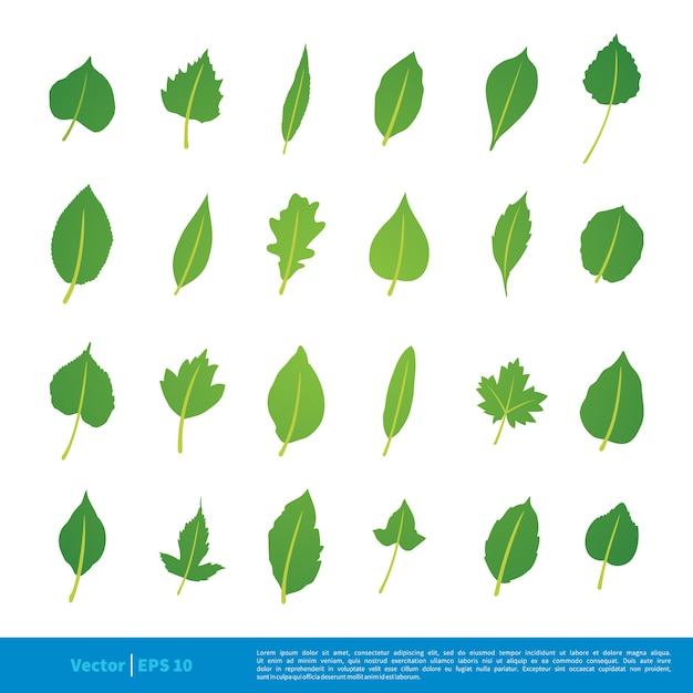 Foliage Set - Green Leaf Set