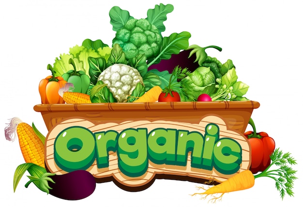 Font design for word organic with many fresh vegetables