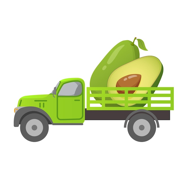 Food delivery truck avocado vegetable harvesting