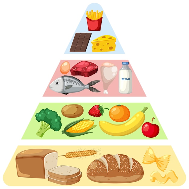 Food nutrition groups pyramid