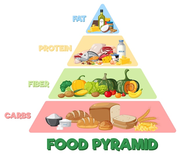 Food nutrition groups pyramid